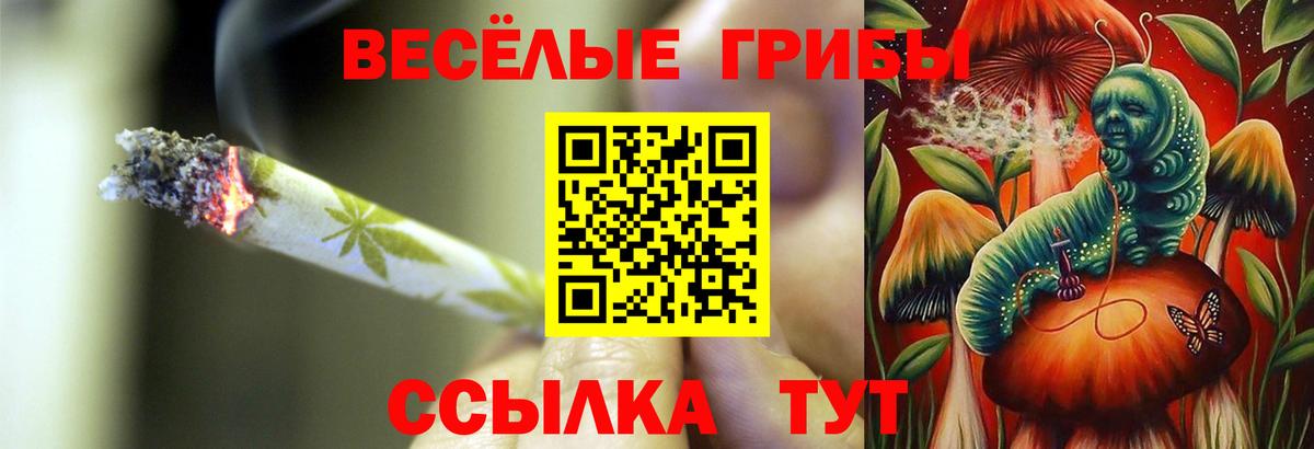 Галлюциногенные грибы ЛСД  наркота  Псилоцибиновые грибы ЛСД  Кашира  Вход с VPN 
